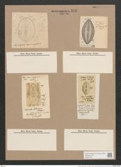Navicula circumsecta Grun. (de-Toni-Nr.: Genus 1, Species 381) Zeichnungen Sammlung Grunow Nr. 853 (NHMW-BOT-W0367295)